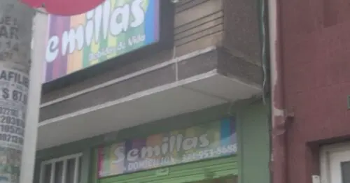 SEMILLAS BEBIDAS DE VIDA SEMILLAS BEBIDAS DE VIDA